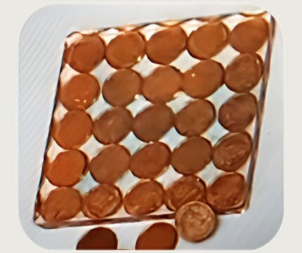 BAHAMIAN PENNY - Coasters Sets